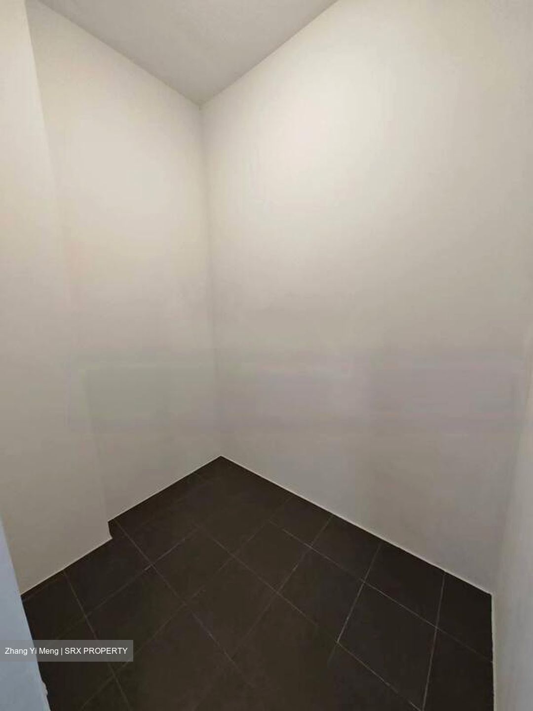 Eight Riversuites (D12), Condominium #471773651